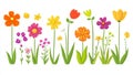 An illustration of cute summer flowers on a transparent background. Royalty Free Stock Photo