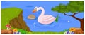 Cute swan floats on mountain river for you design