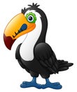 Cute toucan cartoon