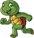Cute turtle cartoon character running