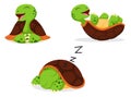 Cute Turtle cartoon