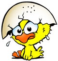 Illustration of an cute unhappy baby chicken Royalty Free Stock Photo