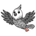 Cute whiteface cockatiel bird cartoon