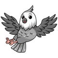 Cute whiteface cockatiel bird cartoon