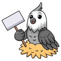 Cute whiteface cockatiel bird cartoon holding blank sign