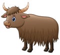 Cute yak cartoon