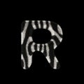 3D Rendering Creative Illustration Zebra Print Furry Letter R