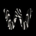 3D Rendering Creative Illustration Zebra Print Furry Letter W