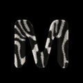 3D Rendering Creative Illustration Zebra Print Furry Letter M