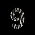 3D Rendering Creative Illustration Zebra Print Furry Number 9