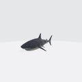 Illustration of a 3D rendering of a great white shark on a white background Royalty Free Stock Photo