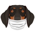 Illustration Dachshund dog with respirator