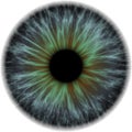 Illustration of a dark blue with orange human iris.