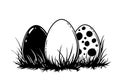 illustration: decorated easter eggs in grass isolated on white or transparent png Royalty Free Stock Photo