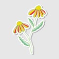 Illustration of Decorative Chamomile. Stickers