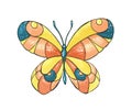 Illustration with decorative summer butterfly.Exotic butterfly with colorful wings. Tropical flying insect.