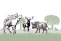 Illustration of deer and wild boar Royalty Free Stock Photo