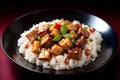 Illustration of delicious chinese food with rice