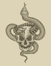 illustration demon skull with snake antique engraving style