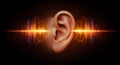 Human Ear and Sound Waves: A Visual Representation of Hearing and Audio Perception Royalty Free Stock Photo