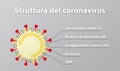 Illustration of coronavirus structure, including its spike protein. Text in Italian.