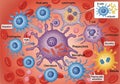 Background features a red hue with blood cells, conveying the cellular Royalty Free Stock Photo