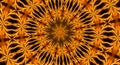 abstract fire flower mandala background with kaleidoscopic effect Royalty Free Stock Photo