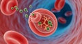 Illustration depicts a red blood cell within a blood vessel, featuring several hemoglobin Royalty Free Stock Photo