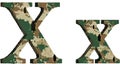 alphabet letter x uppercase and lowercase, abstract military camouflage texture font