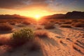 Desert landscape with cactuses at sunset Royalty Free Stock Photo