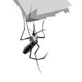 illustration design of a black and white mosquito wpap pop art vector style