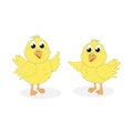 Illustration design of cute chick character