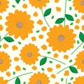 Daisy orange color flower leaf seamless pattern Royalty Free Stock Photo