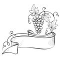 Illustration, design element -- grape with ribbon Royalty Free Stock Photo