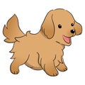 Illustration design of a cute baby golden retriever dog cartoon style isolated on white background Royalty Free Stock Photo