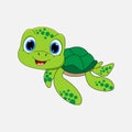 Illustration design turtle animal charcter