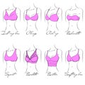 Illustration of the design and variety of women`s bras. Hand-drawn lingerie models. Royalty Free Stock Photo