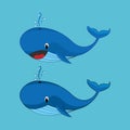 Illustration design of whale