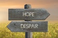 Illustration of despair and hope road sign