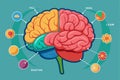 This illustration details various brain regions and their associated functions in cognition and learning, looking for parts of the Royalty Free Stock Photo