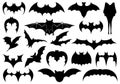 Illustration of different bats