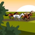 Illustration of different breeds of horses.