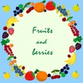 Illustration of different kinds of fruits and berries.