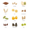 Illustration of different seeds isolate on white background. Vector icons set