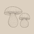 Illustration of different sized mushroom