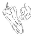 Illustration of different varieties of bell peppers in doodle style, outline on white background Royalty Free Stock Photo