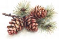 Digital image of  illustration of pine cones on a branch, high quality, high resolution Royalty Free Stock Photo
