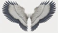 Illustration of a 2-dimensional pair of angel wings for mockup