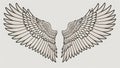 Illustration of a 2-dimensional pair of angel wings for mockup