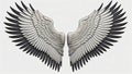 Illustration of a 2-dimensional pair of angel wings for mockup